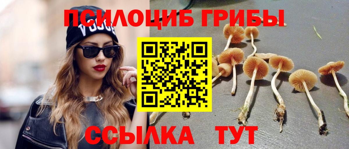 Галлюциногенные грибы ЛСД Камышлов