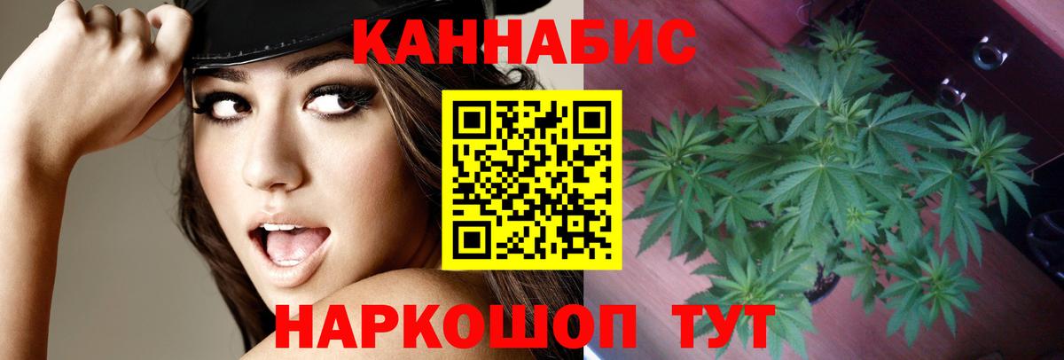 Каннабис OG Kush  Бошки марихуана планчик  Шишки марихуана Ganja  Вход с VPN  Бошки Шишки планчик  Камышлов 